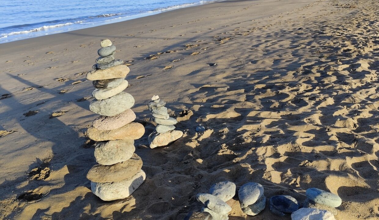 547147384_1359929589469445_2481578762754627643_n