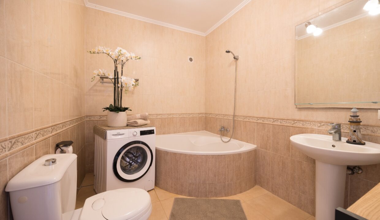 87d49ea8-bfc3-487a-ab37-e2e0bc0c7ba9