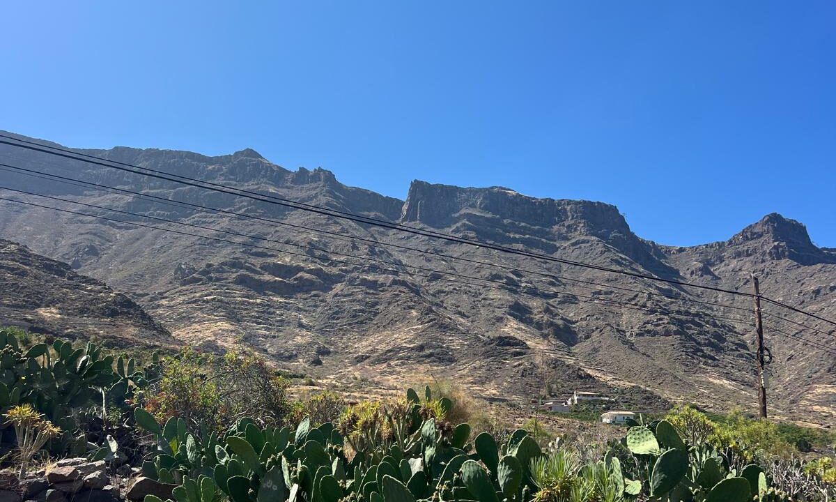 finca5